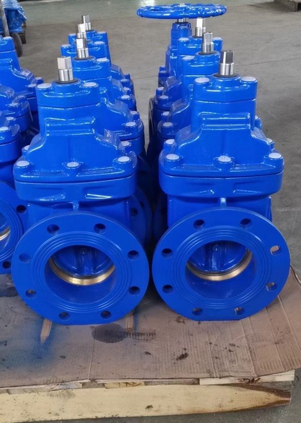 Resilient Seated Gate Valve BS5163 - Εικόνα 2
