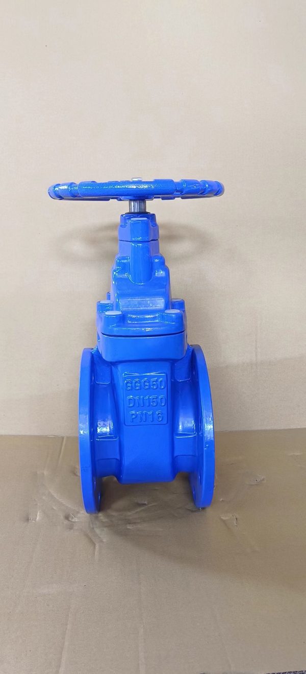 Resilient Seated Gate Valve BS5163 - Εικόνα 3
