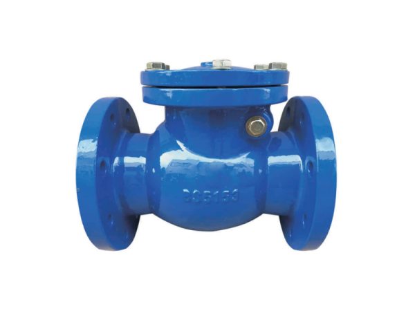 BS5153 SWING TYPE CHECK VALVE