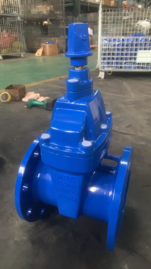 Resilient Seated Gate Valve BS5163 - Εικόνα 5