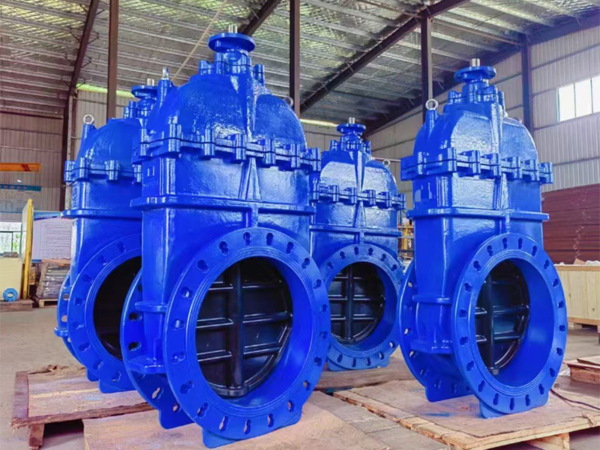 Resilient Seated Gate Valve BS5163
