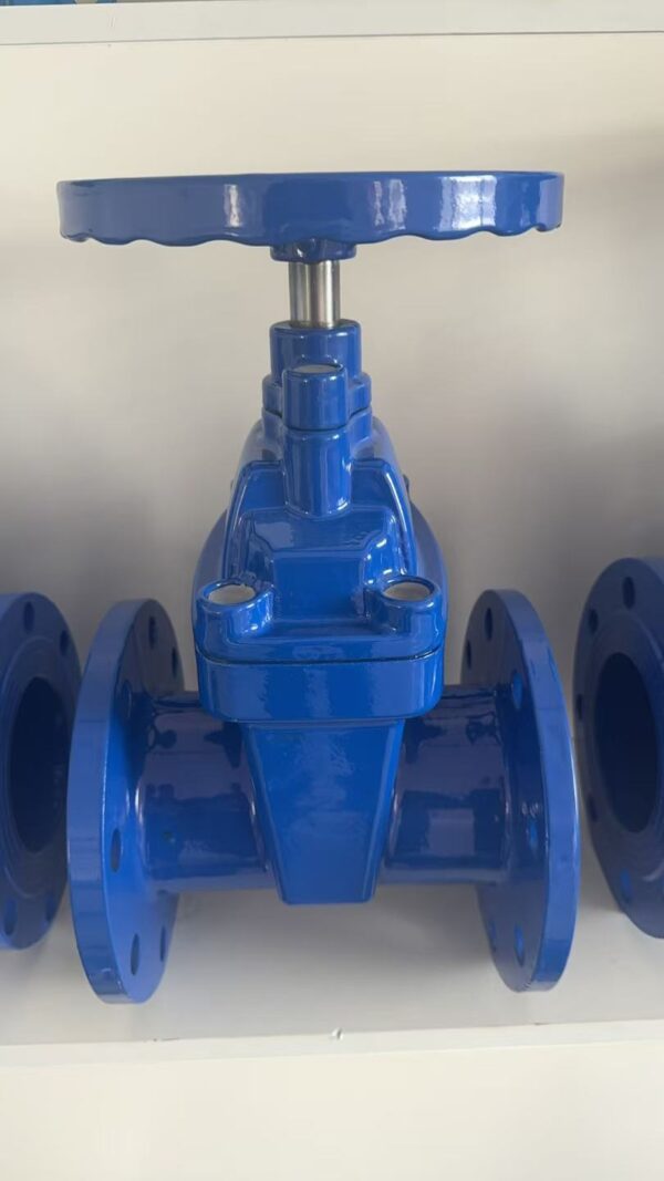 Resilient Seated Gate Valve BS5163 - Εικόνα 9