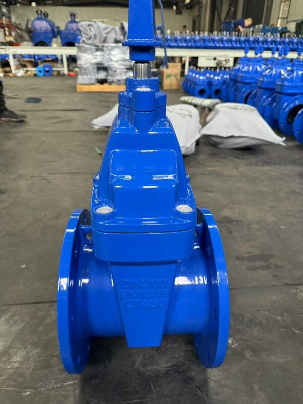 Resilient Seated Gate Valve BS5163 - Εικόνα 10