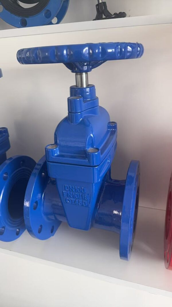 Resilient Seated Gate Valve BS5163 - Εικόνα 11